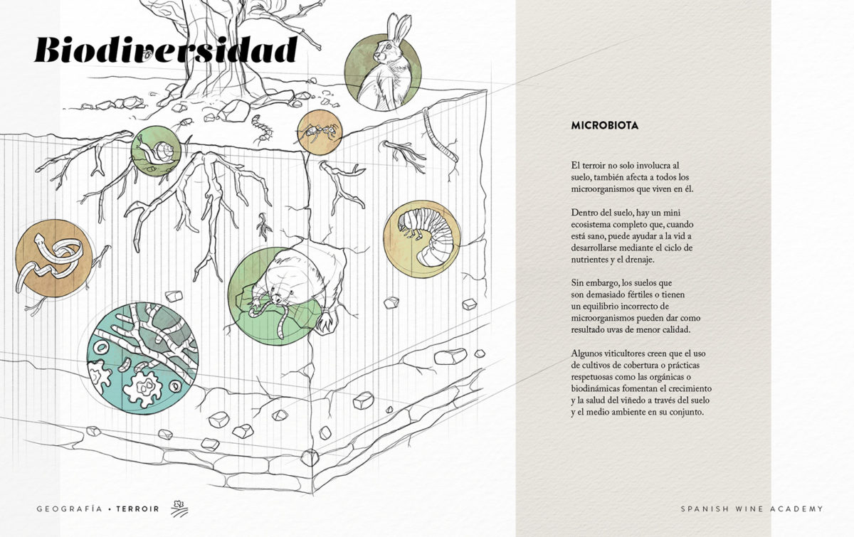 Biodiversidad