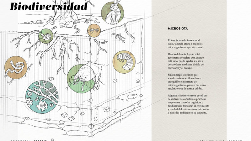 Biodiversidad