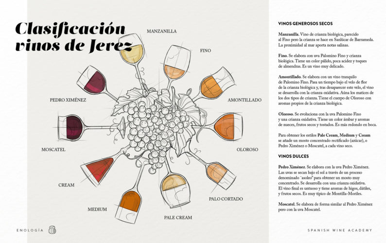 Clasificación vinos de Jerez