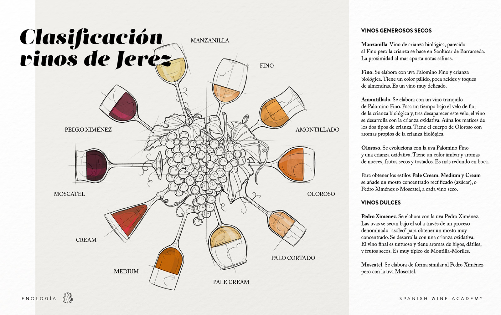 Clasificación vinos de Jerez - Spanish Wine Academy de Ramón Bilbao