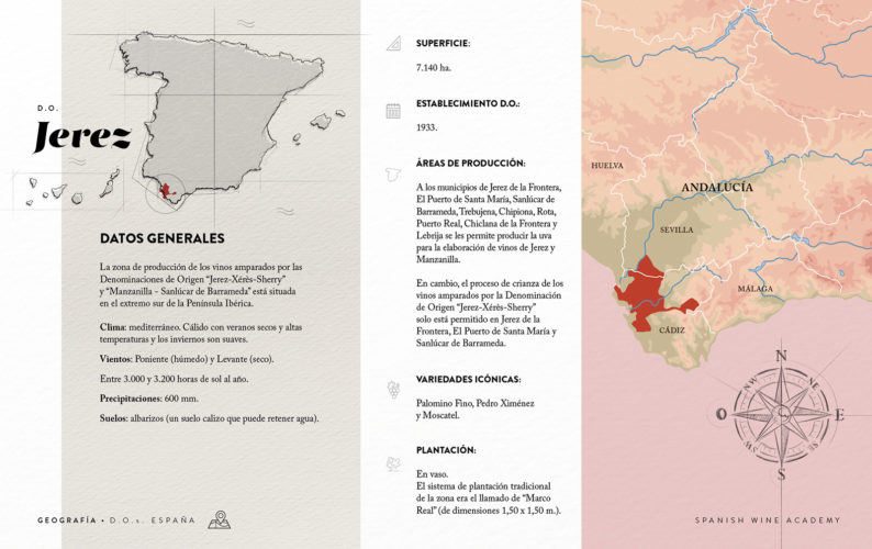 Denominaciones de Origen de España - Jerez