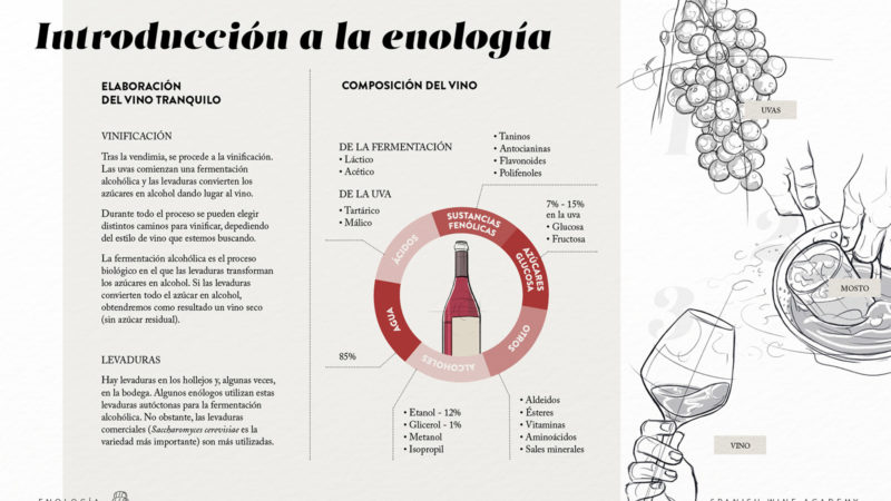 Introducción a la enología