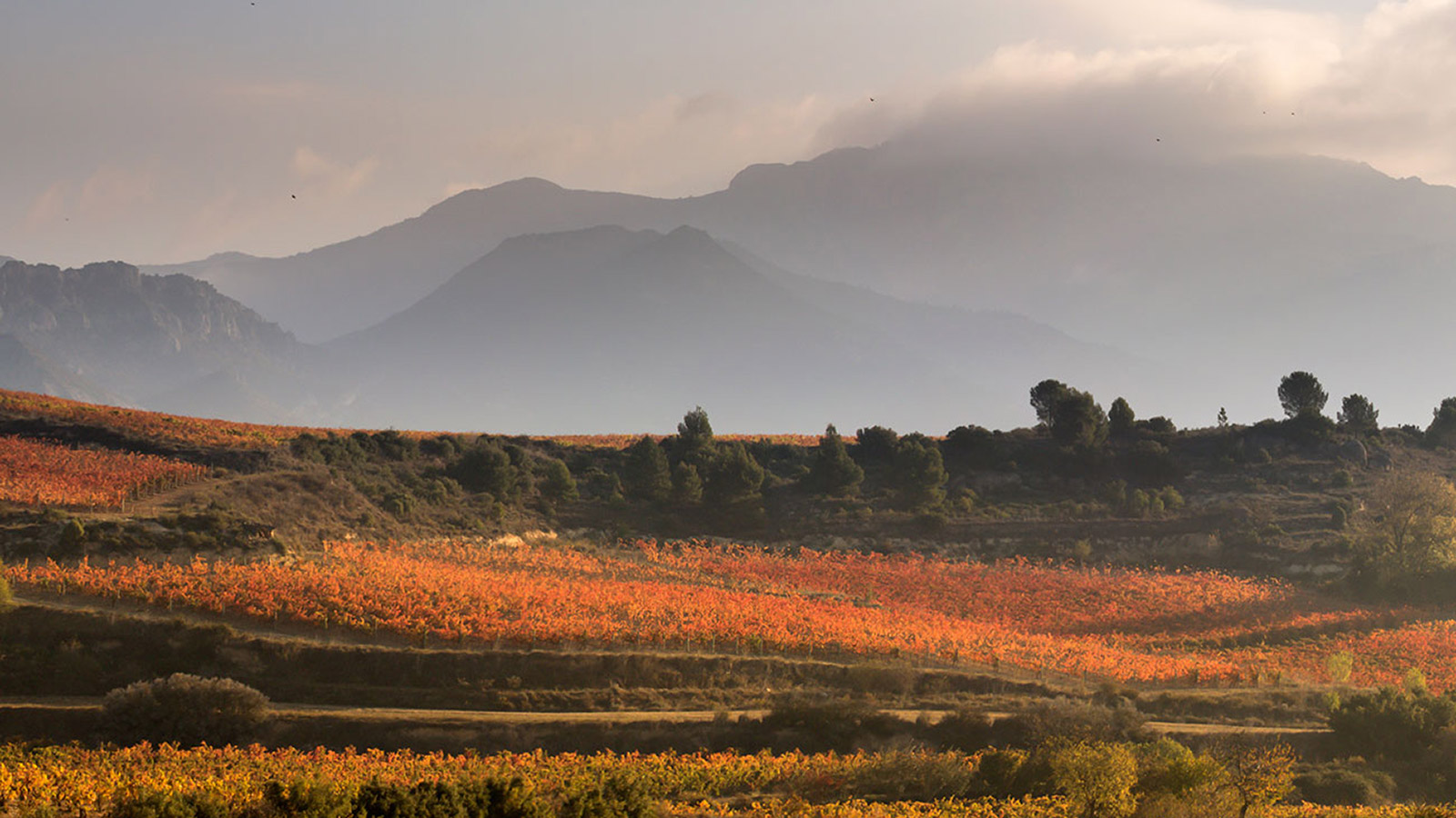 Un viaje por los paisajes españoles