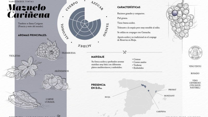 Variedades tintas - Mazuelo Cariñena