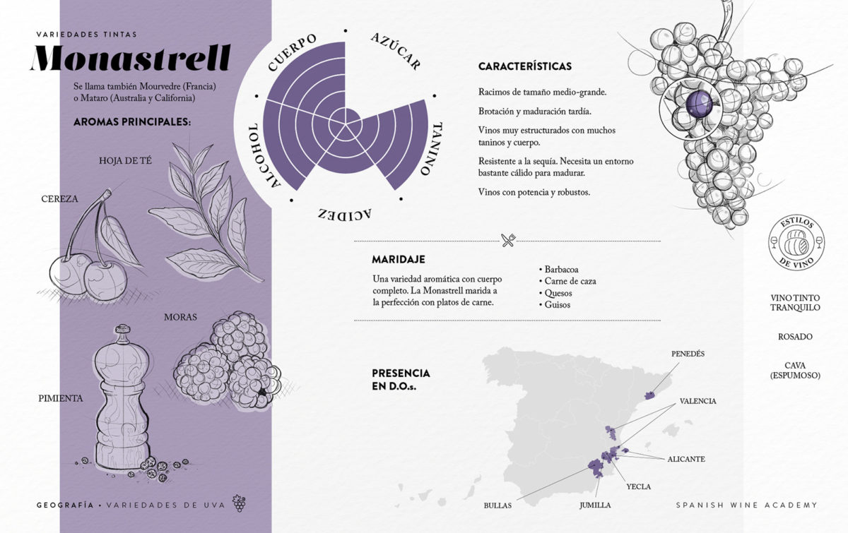 Variedades tintas - Monastrell