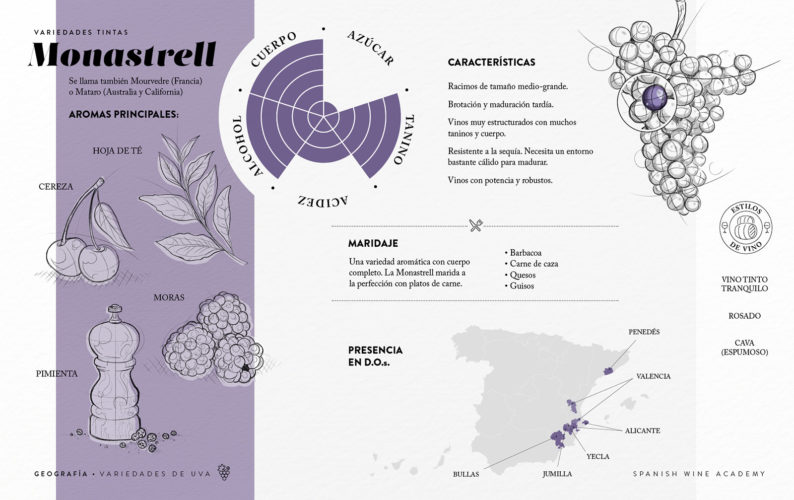 Variedades tintas - Monastrell