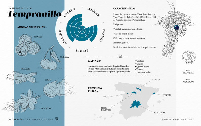 Variedades tintas - Tempranillo