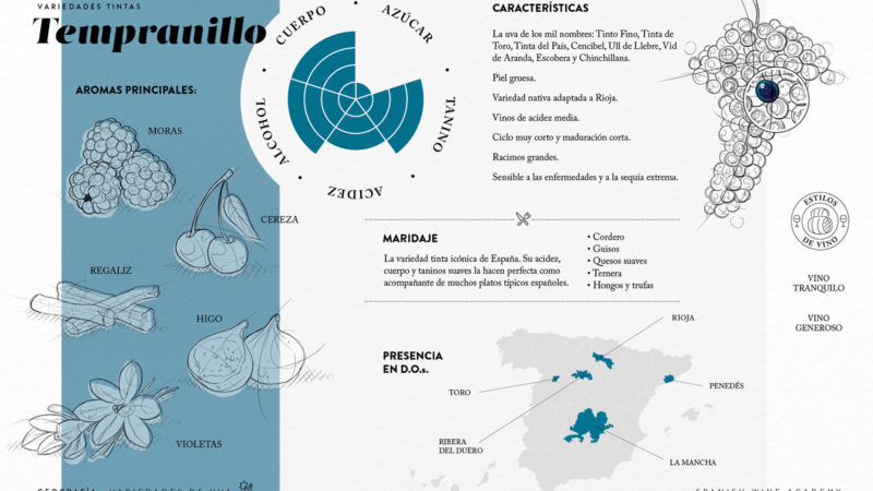 Variedades tintas - Tempranillo