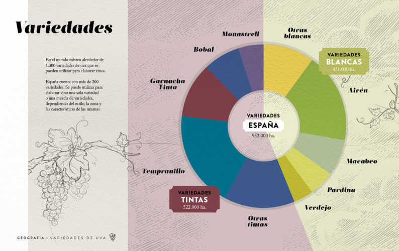 Variedades de uva