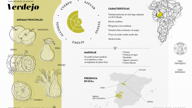 Variedades blancas - Verdejo