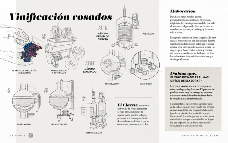 Vinificación rosados