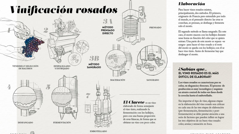 Vinificación rosados