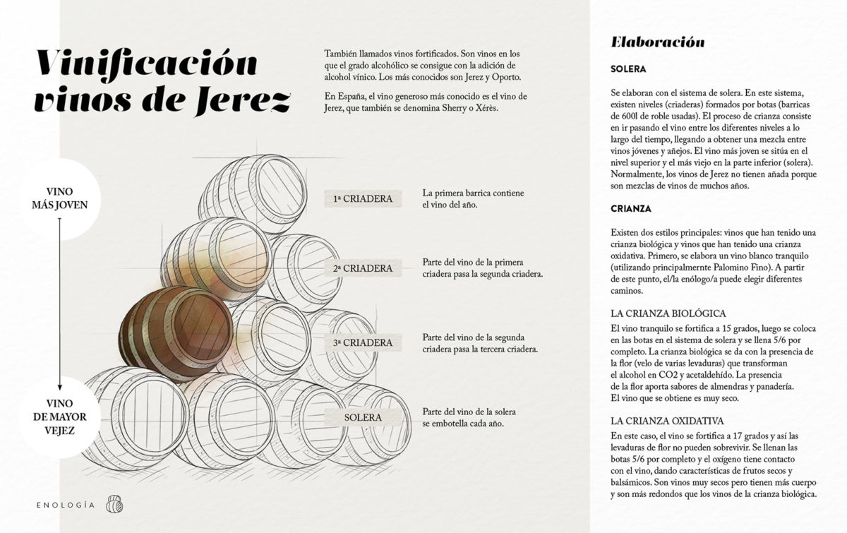 Vinificación vinos de Jerez - Elaboración