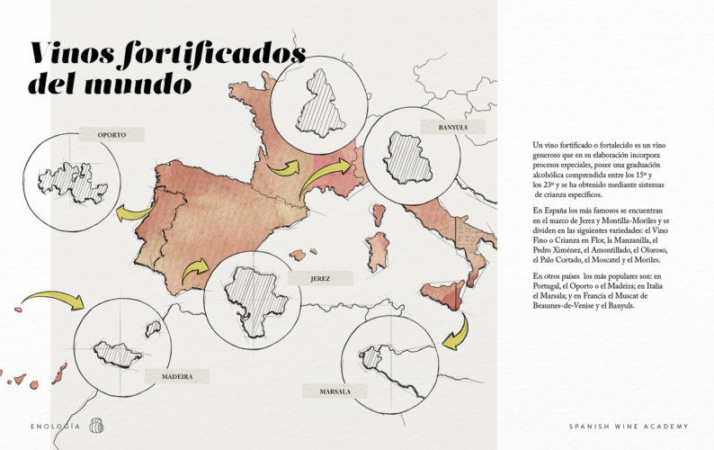 Vinos fortificados del mundo