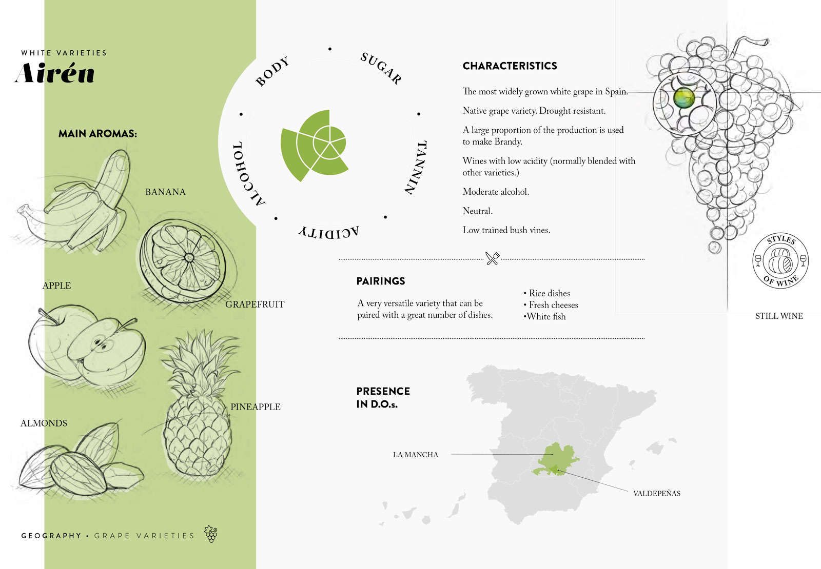 White grape varieties - Airén - Spanish Wine Academy de Ramón Bilbao